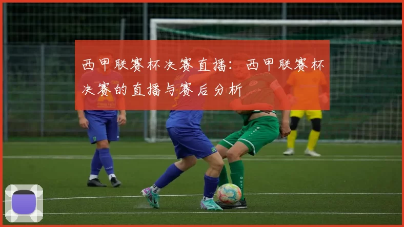 西甲联赛杯决赛直播：西甲联赛杯决赛的直播与赛后分析