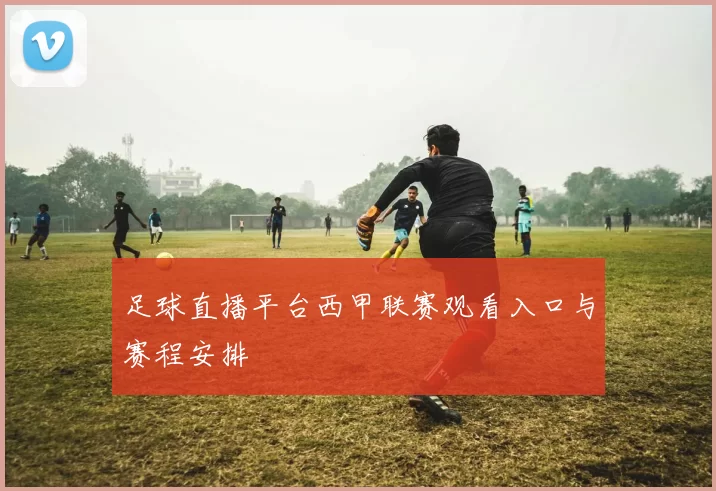 足球直播平台西甲联赛观看入口与赛程安排