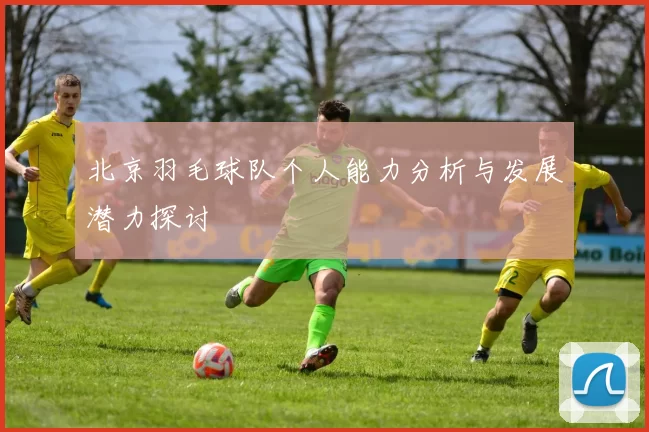 北京羽毛球队个人能力分析与发展潜力探讨
