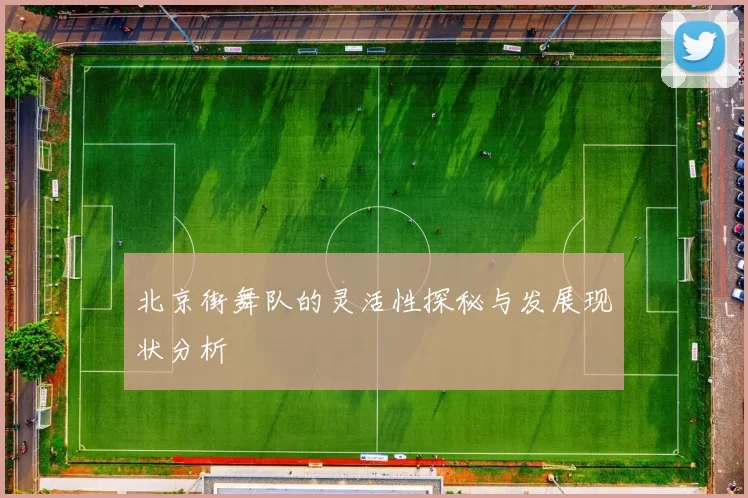 北京街舞队的灵活性探秘与发展现状分析