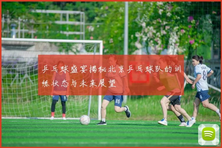 乒乓球盛宴揭秘北京乒乓球队的训练状态与未来展望