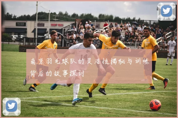 南京羽毛球队的灵活性揭秘与训练背后的故事探讨