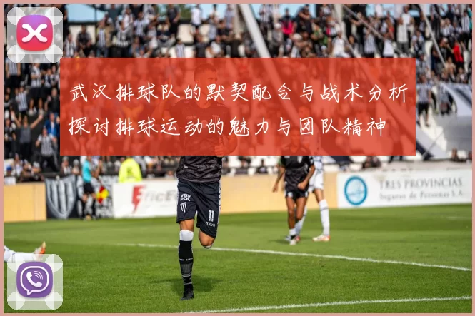 武汉排球队的默契配合与战术分析探讨排球运动的魅力与团队精神