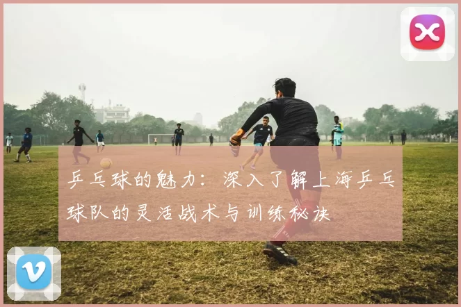 乒乓球的魅力：深入了解上海乒乓球队的灵活战术与训练秘诀