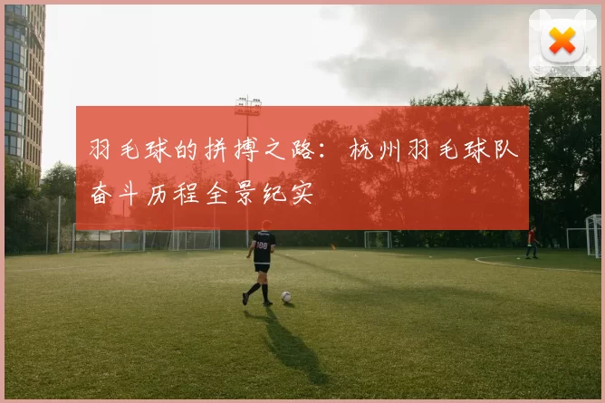 羽毛球的拼搏之路：杭州羽毛球队奋斗历程全景纪实
