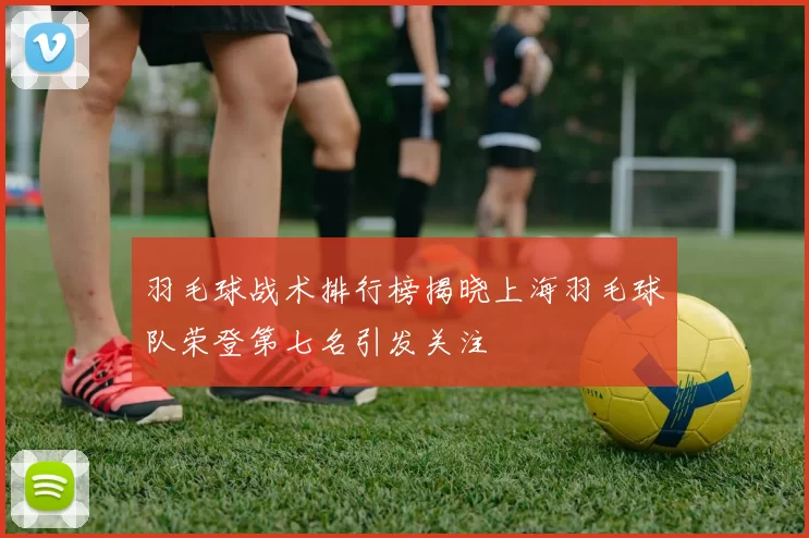 羽毛球战术排行榜揭晓上海羽毛球队荣登第七名引发关注