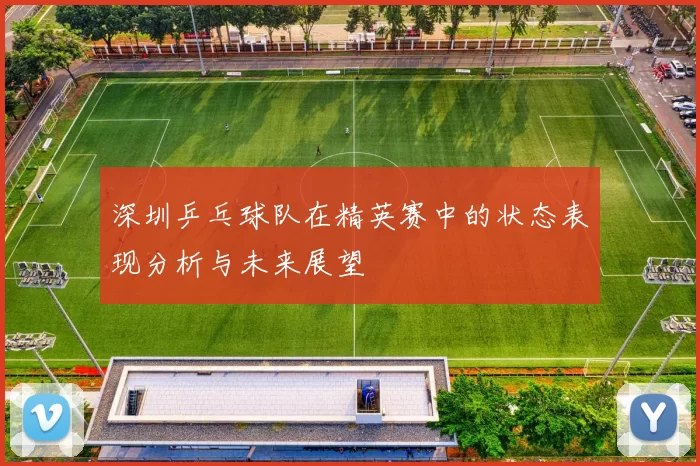 深圳乒乓球队在精英赛中的状态表现分析与未来展望
