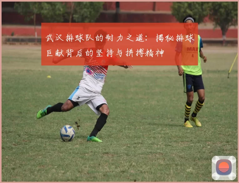 武汉排球队的耐力之道：揭秘排球巨献背后的坚持与拼搏精神