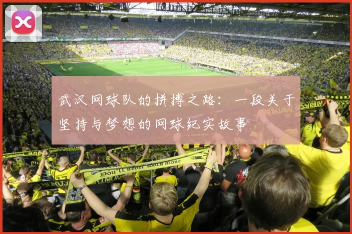 武汉网球队的拼搏之路：一段关于坚持与梦想的网球纪实故事
