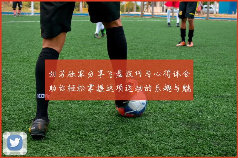 刘芳独家分享飞盘技巧与心得体会助你轻松掌握这项运动的乐趣与魅力