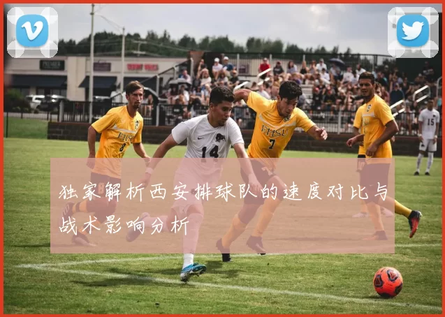 独家解析西安排球队的速度对比与战术影响分析