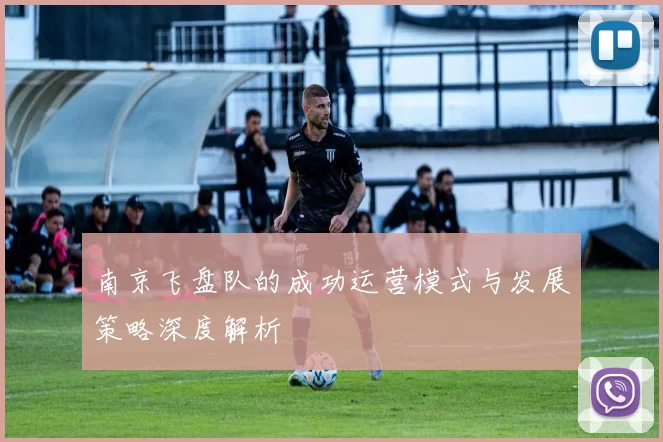 南京飞盘队的成功运营模式与发展策略深度解析