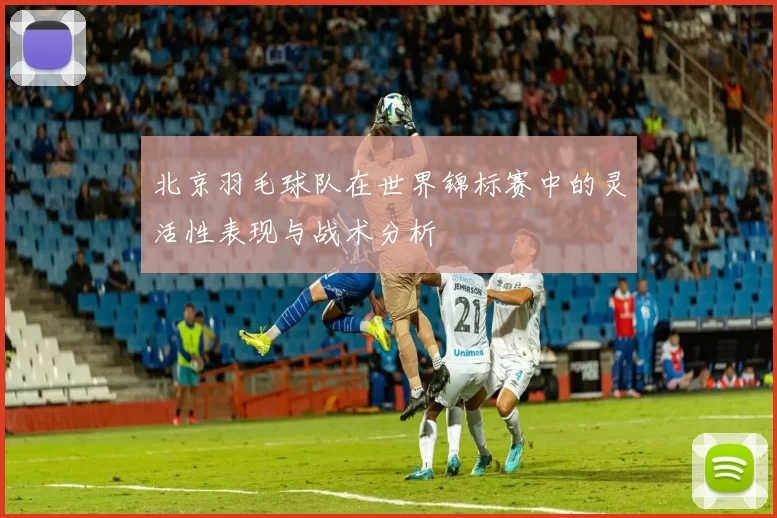 北京羽毛球队在世界锦标赛中的灵活性表现与战术分析