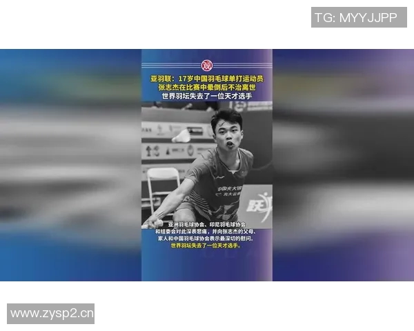 羽毛球速度与实力全面解析权威榜单揭晓运动员排名与表现分析